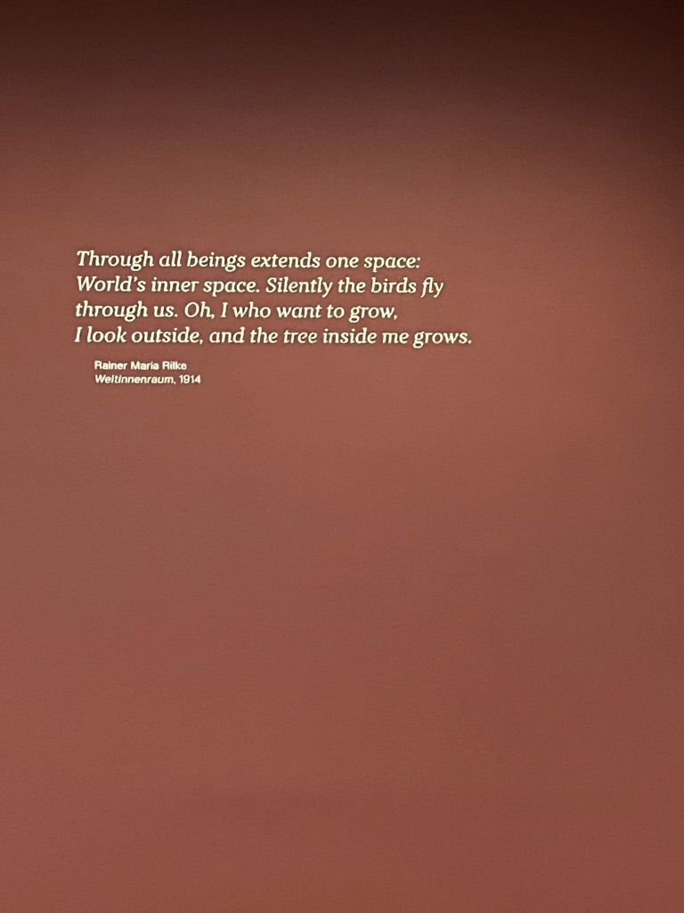 This image has an empty alt attribute; its file name is C892AFBB-776B-4FDC-9C28-A8F5E7C59D52_1_105_c.jpeg