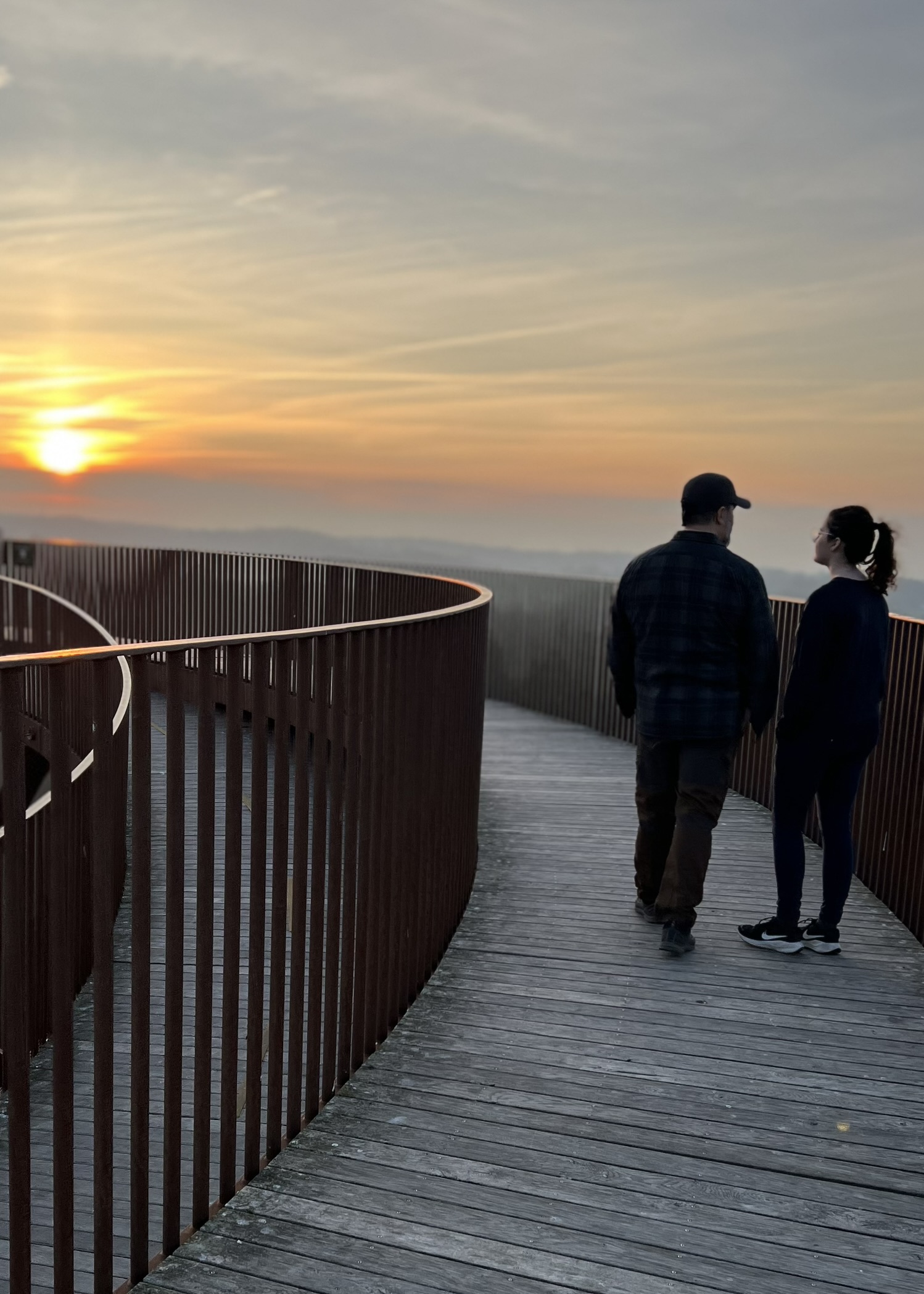 Zealand’s Forest Tower