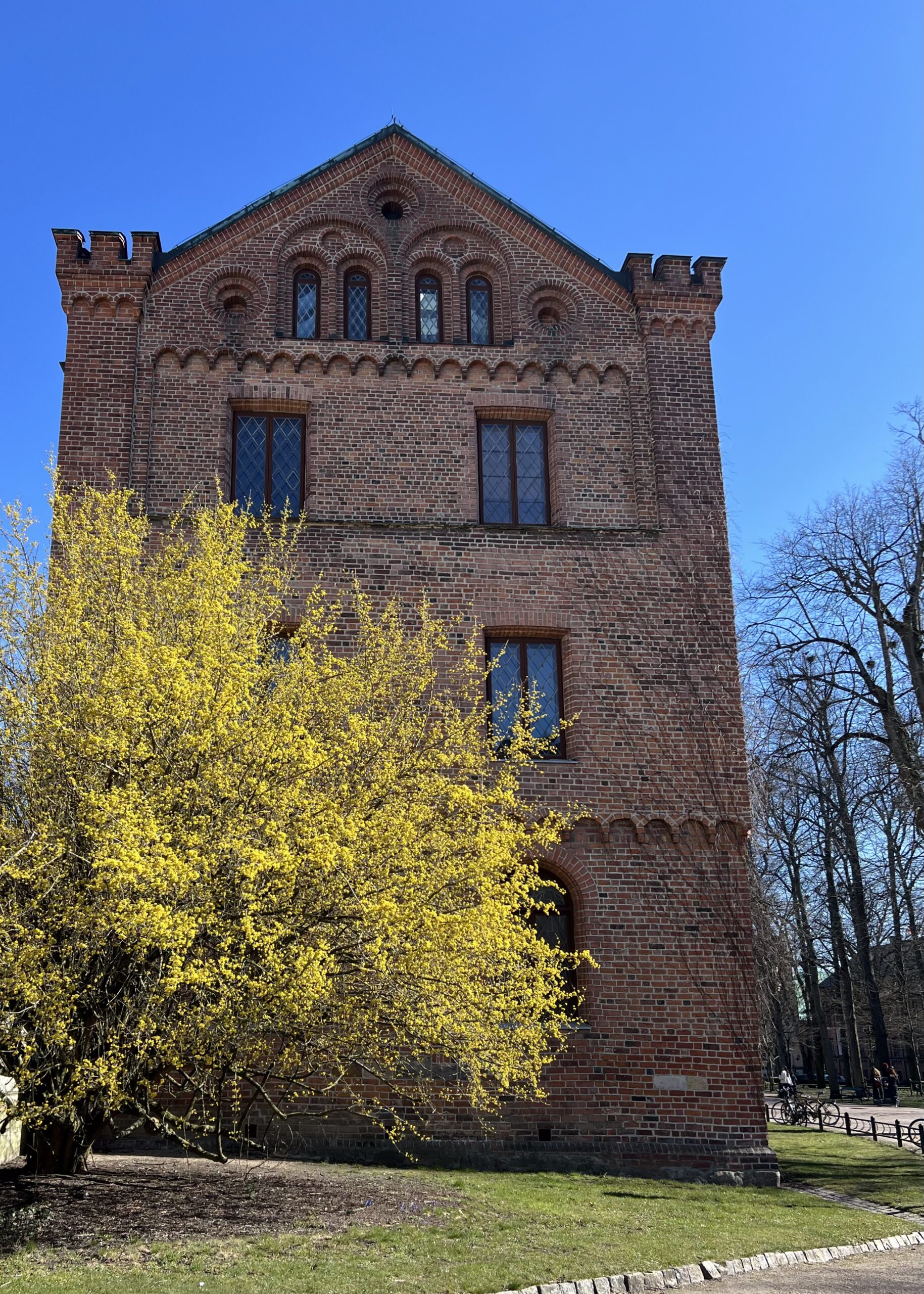 Reading the Riot Act